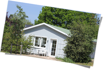Haus